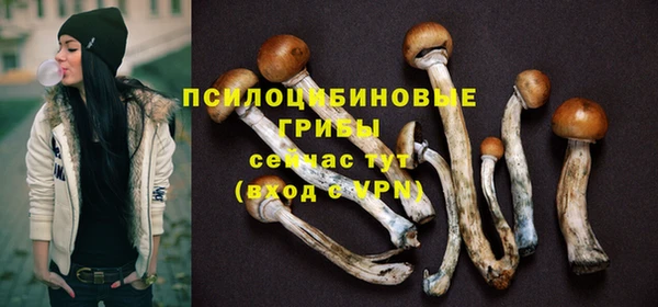 сатива Арсеньев