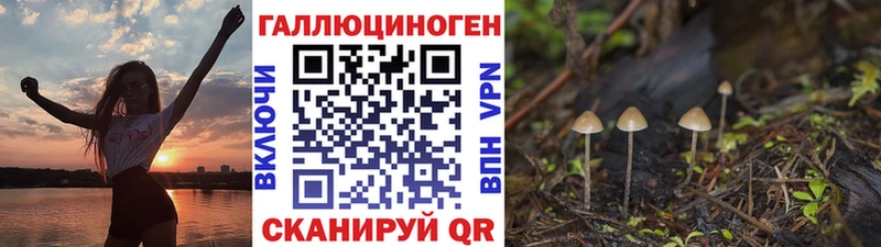 сайты даркнета Telegram  Похвистнево  Псилоцибиновые грибы Cubensis  купить  цена  гидра ссылка 